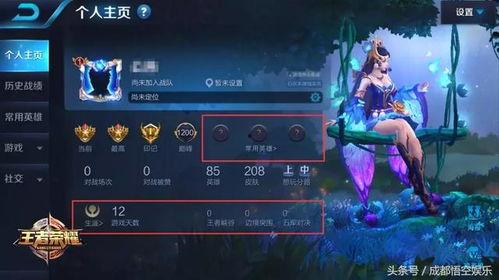 王者爆料贝儿视频,贝儿视频揭秘神秘技能与精彩瞬间  第2张