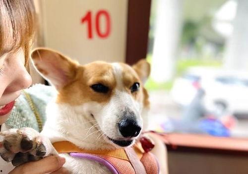 2023娱乐吃瓜爆料,揭秘年度最热吃瓜爆料  第1张