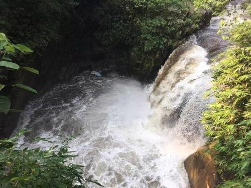 网友爆料山洪视频播放网站,惊险山洪视频曝光，网络平台引发热议  第1张