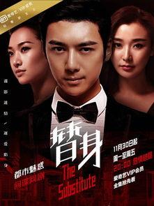 电视剧替身在线观看  第1张