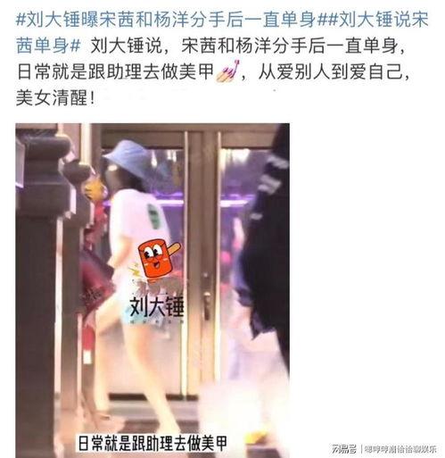 刘大锤爆料宋茜欧豪视频,恋情疑曝光? 第2张 刘大锤爆料宋茜欧豪视频,恋情疑曝光? 第2张