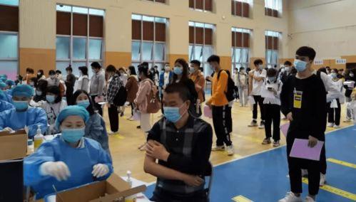 小羊事件爆料最新消息视频,视频揭露惊人内幕  第2张