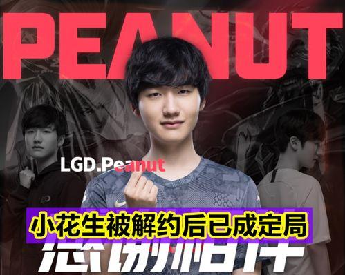 王霖团队前总裁爆料视频  第2张